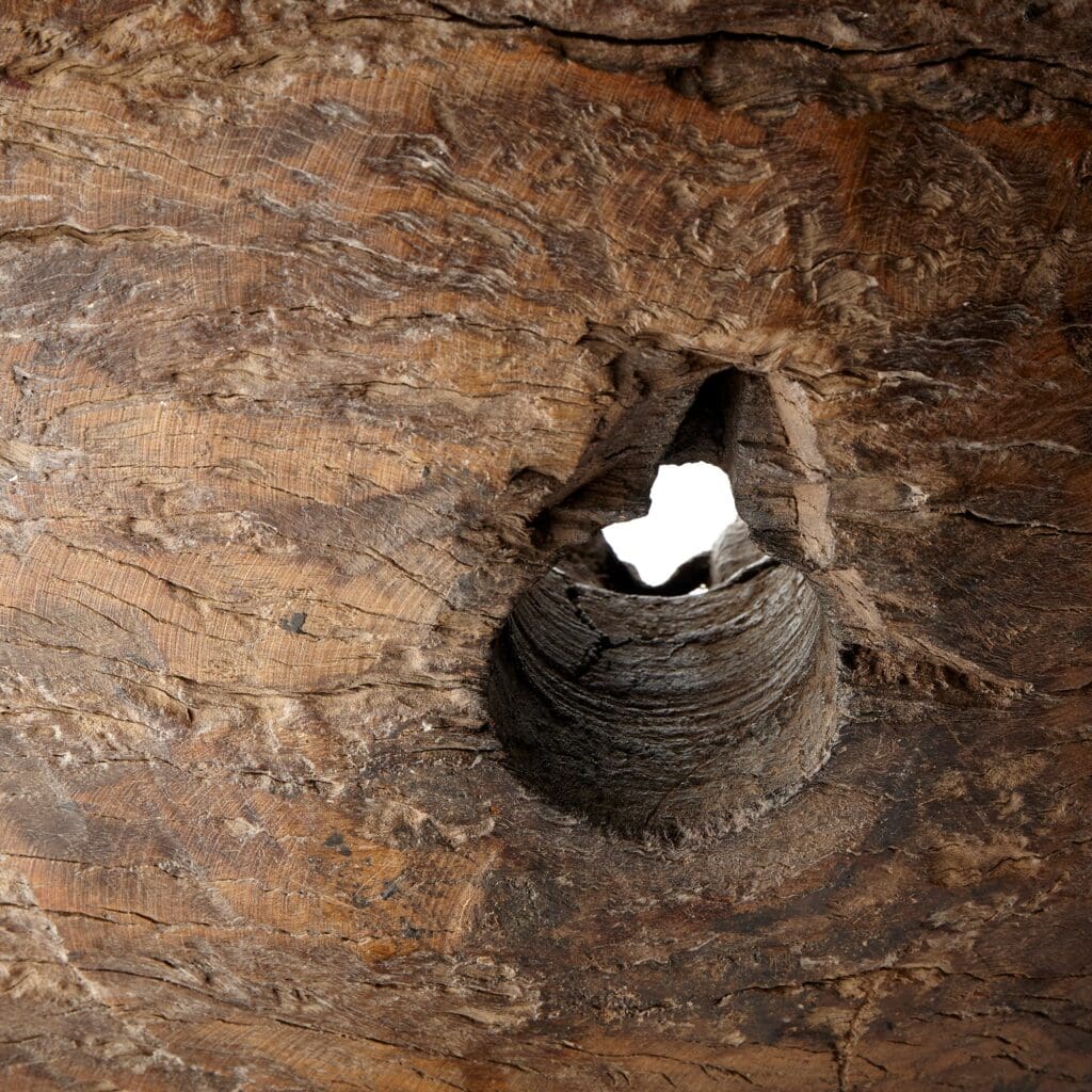 Cyan Design 09758 Jemima Sculpture - Rustic And Matt Black