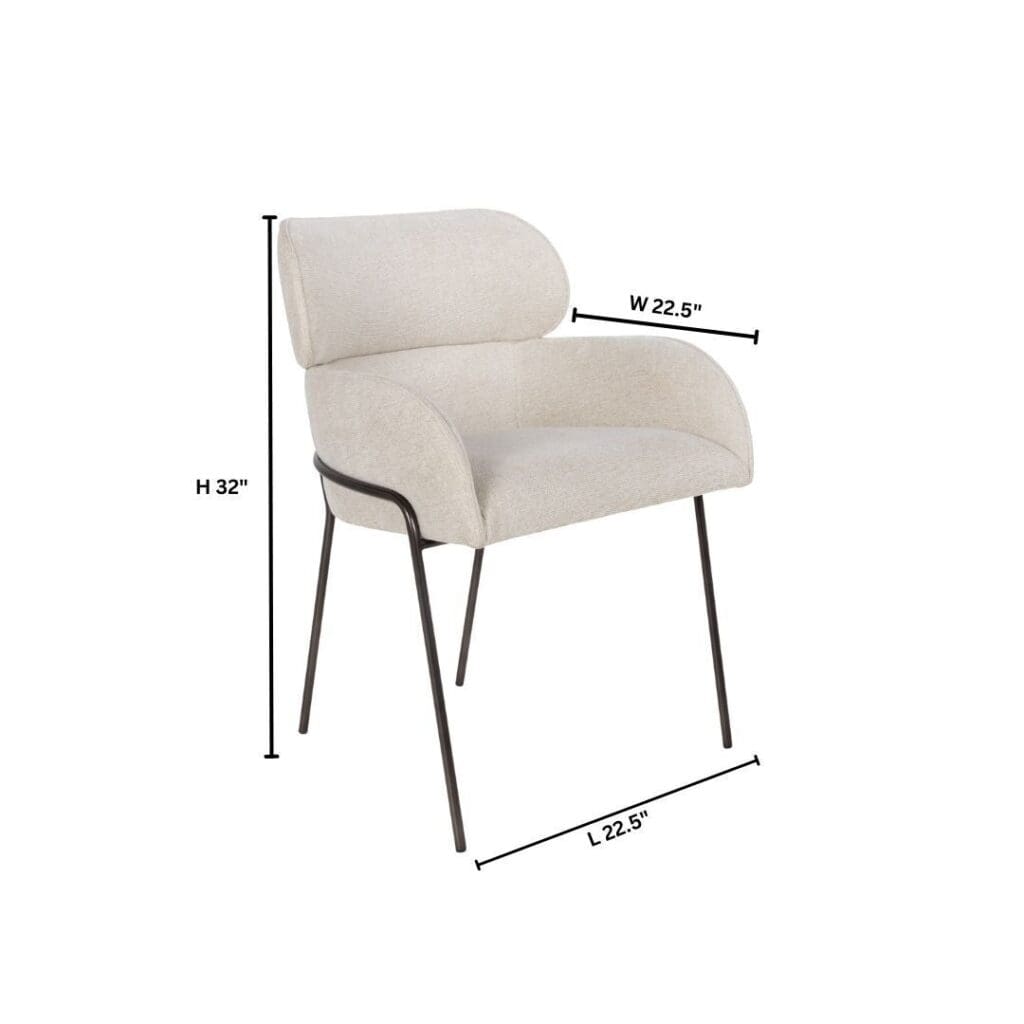Cyan Design 11732 Julian Dining Chair - Onyx And Off-White