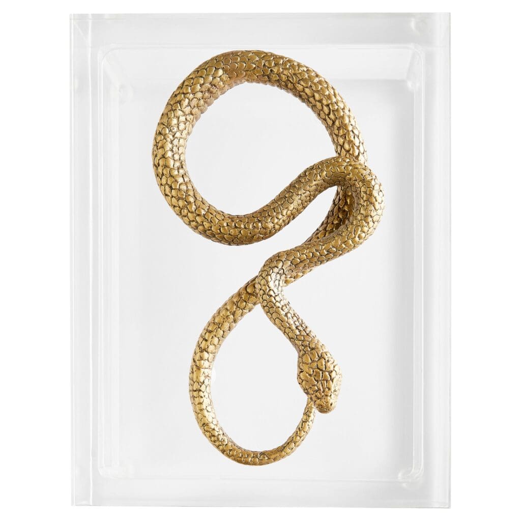 Cyan Design 11763 Snake Box - Clear And Brass