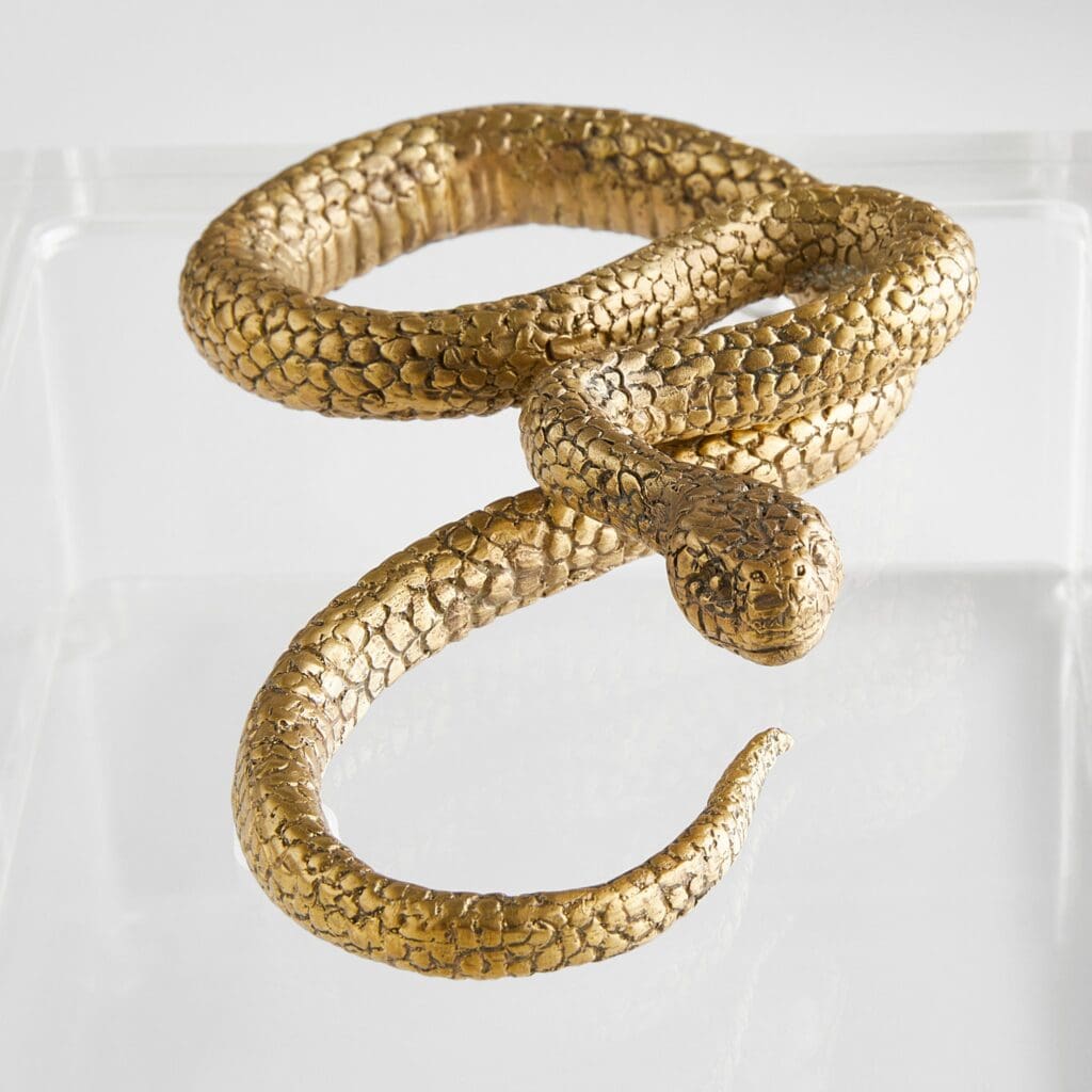 Cyan Design 11763 Snake Box - Clear And Brass