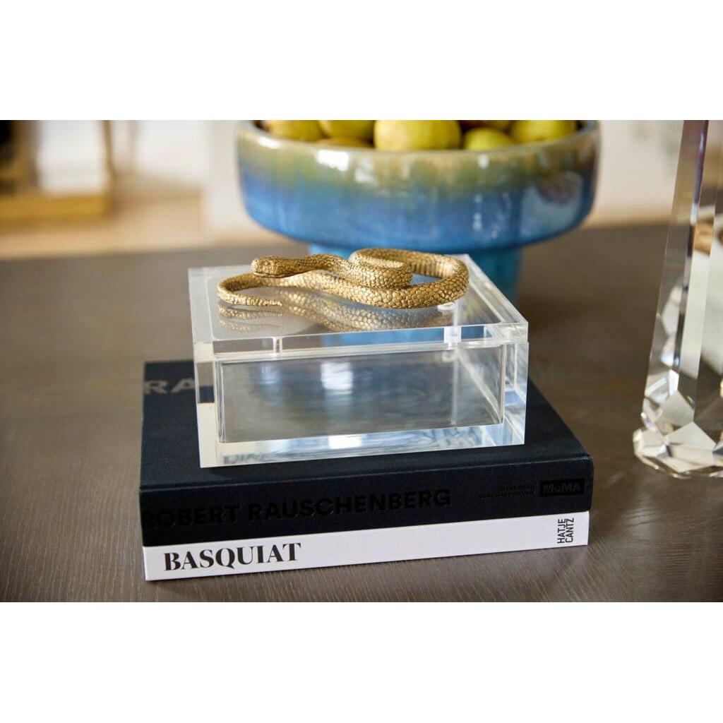 Cyan Design 11763 Snake Box - Clear And Brass