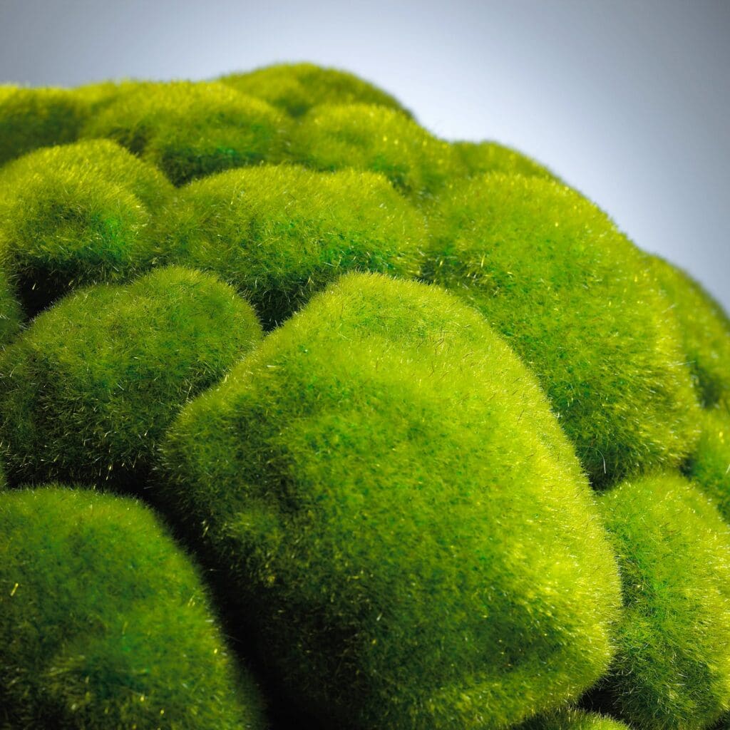 Cyan Design 02608 Moss Sphere - Moss Green - Large