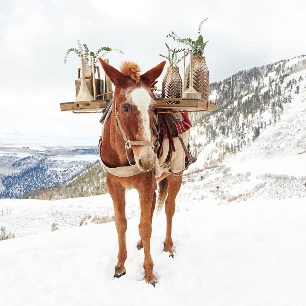 Cyan Design 08559 Decor Traditional - Bronze