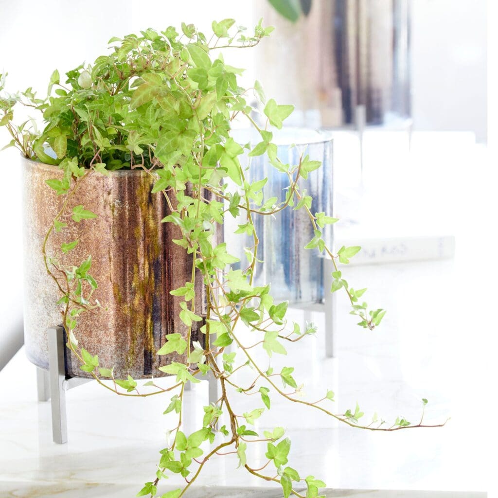 Cyan Design 09776 Basil Candleholder - Black And Verdi Garnet Glass - Large