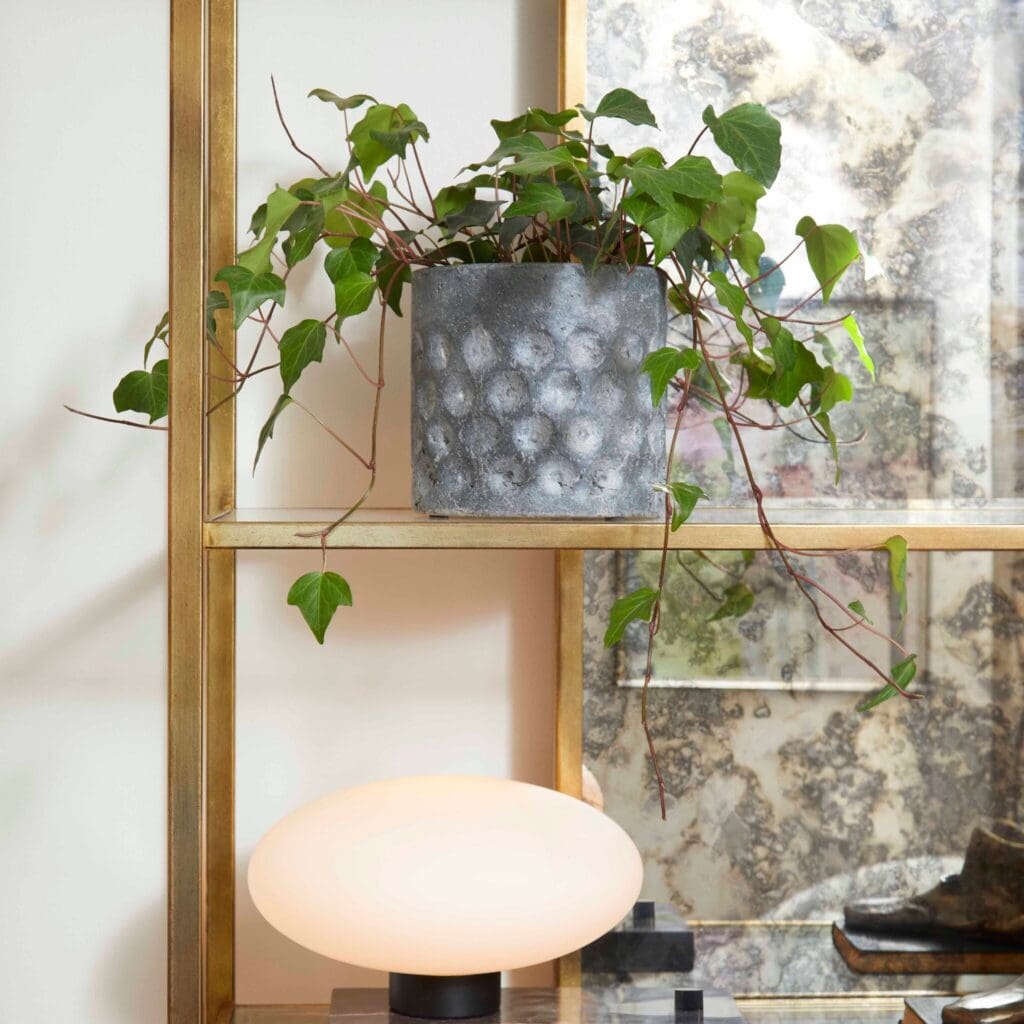 Cyan Design 11053 Decor Traditional - Gray