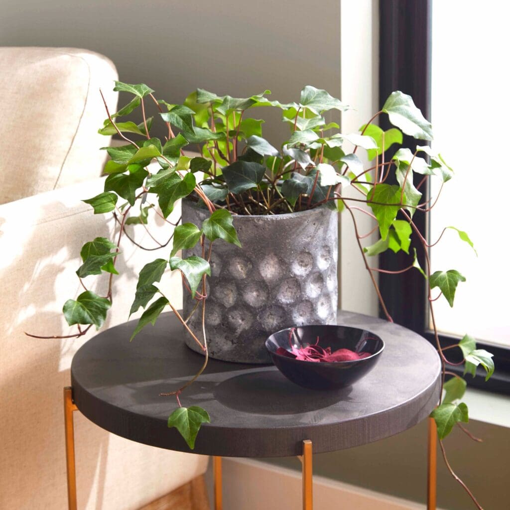 Cyan Design 11053 Potomac Planter - Pewter Gray - Large