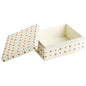 Cyan Design 10659 Dot Crown Container - White And Brass - Medium