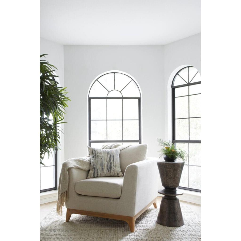 Cyan Design 11379 Chicory Chair - White - Cream