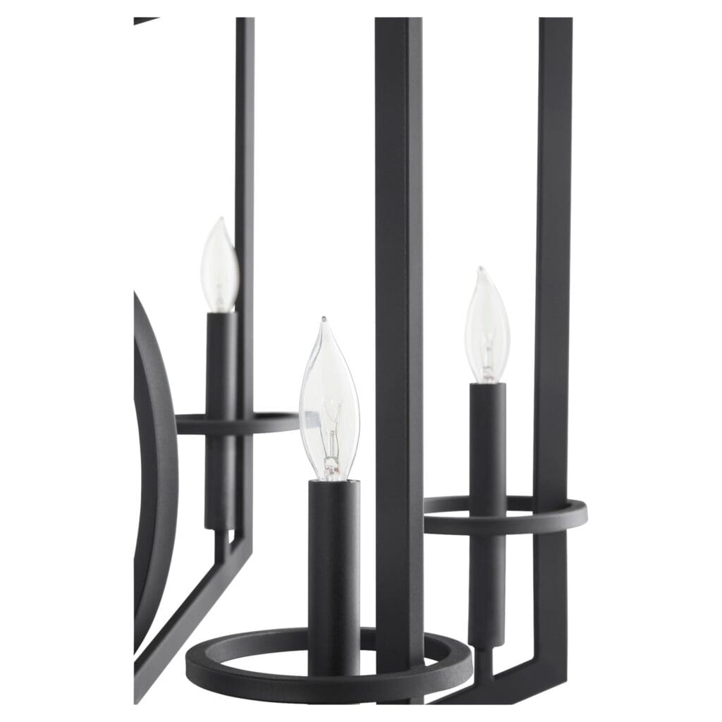 Cyan Design 11389 Oxalis Chandelier - Noir