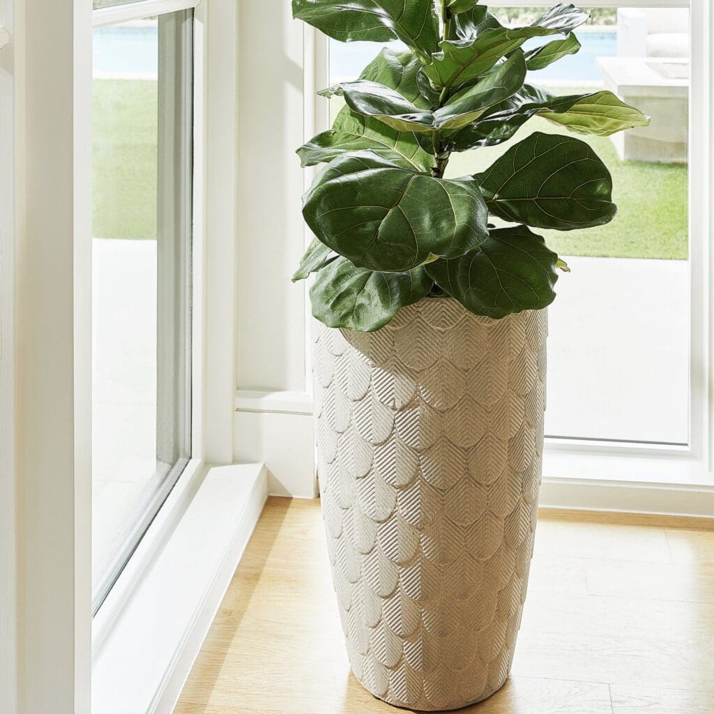 Cyan Design 11474 Nereus Planter - Grey- Small