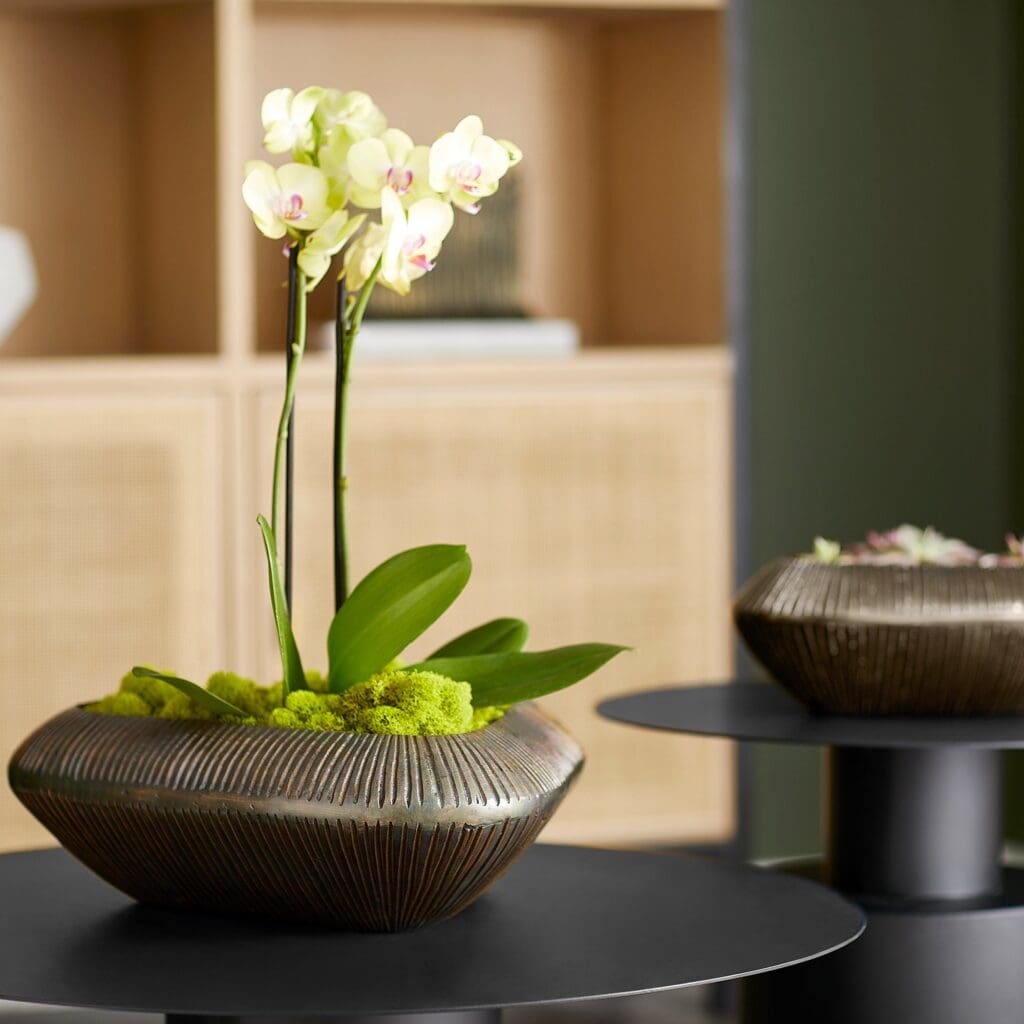 Cyan Design 11527 Prism Bowl - Antique Bronze - Large