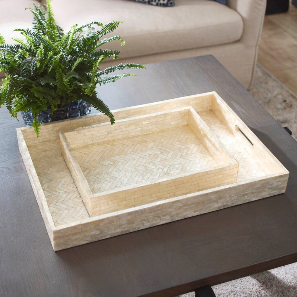 Cyan Design 11680 Triton Rectangle Tray - Pear - Small