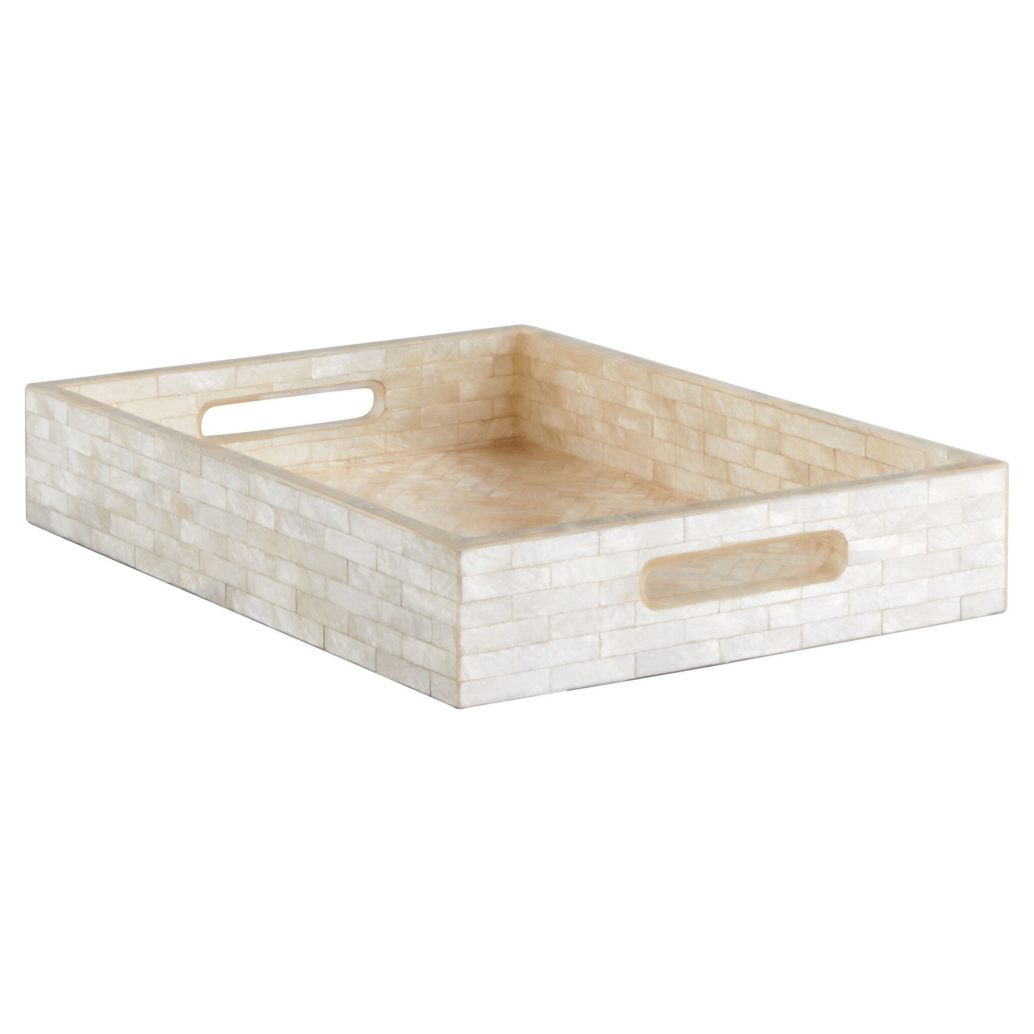 Cyan Design 11680 Triton Rectangle Tray - Pear - Small