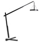 Cyan Design 11751 Elise Floor Lamp - Black