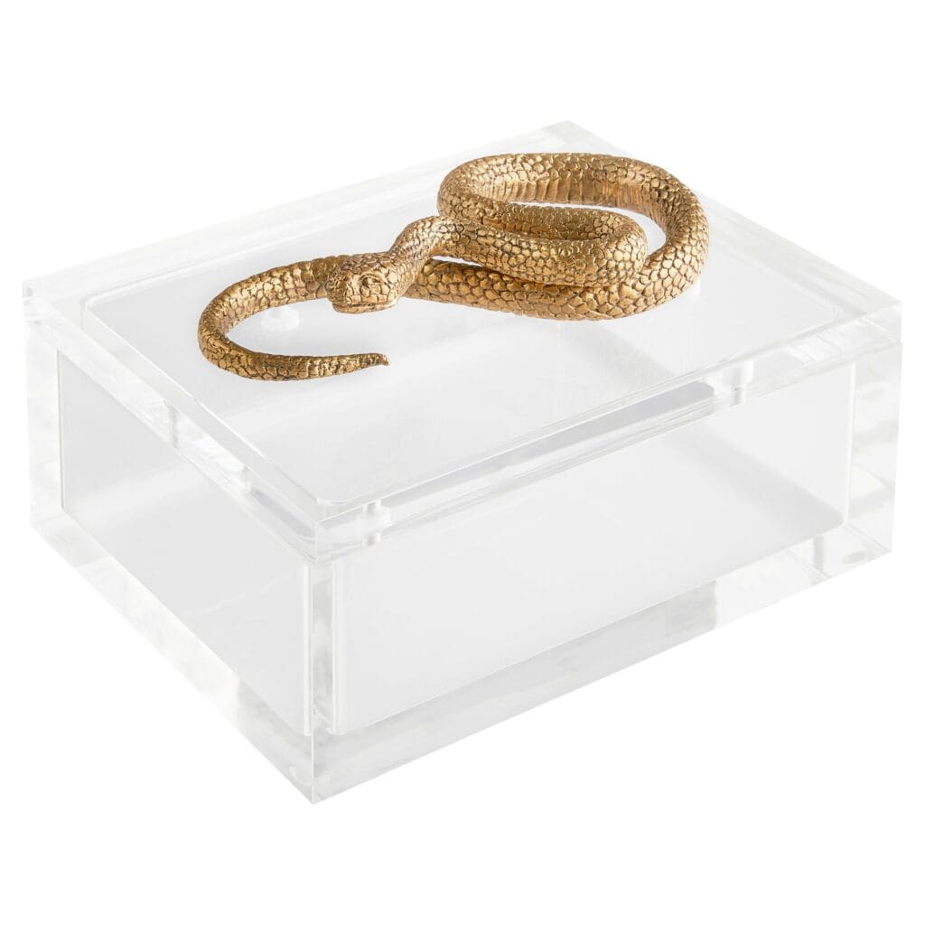 Cyan Design 11763 Snake Box - Clear And Brass