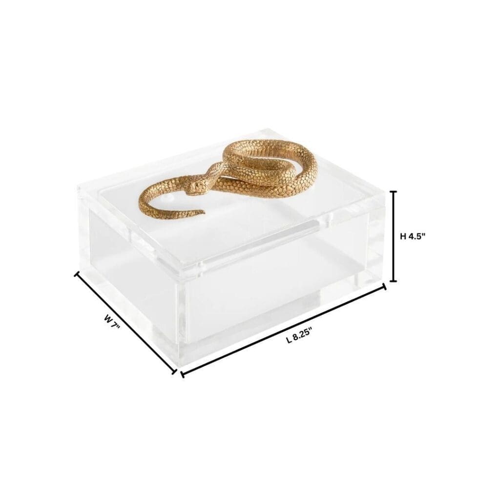 Cyan Design 11763 Snake Box - Clear And Brass