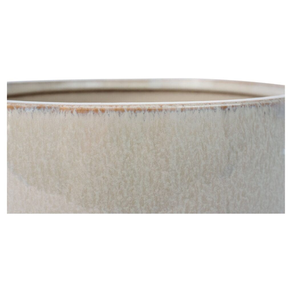 Cyan Design 11772 Elevated Bowl - Shellish Grey - Medium