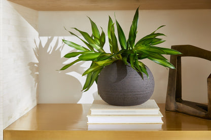 Cyan Design Perennial 12125 Vase, Black