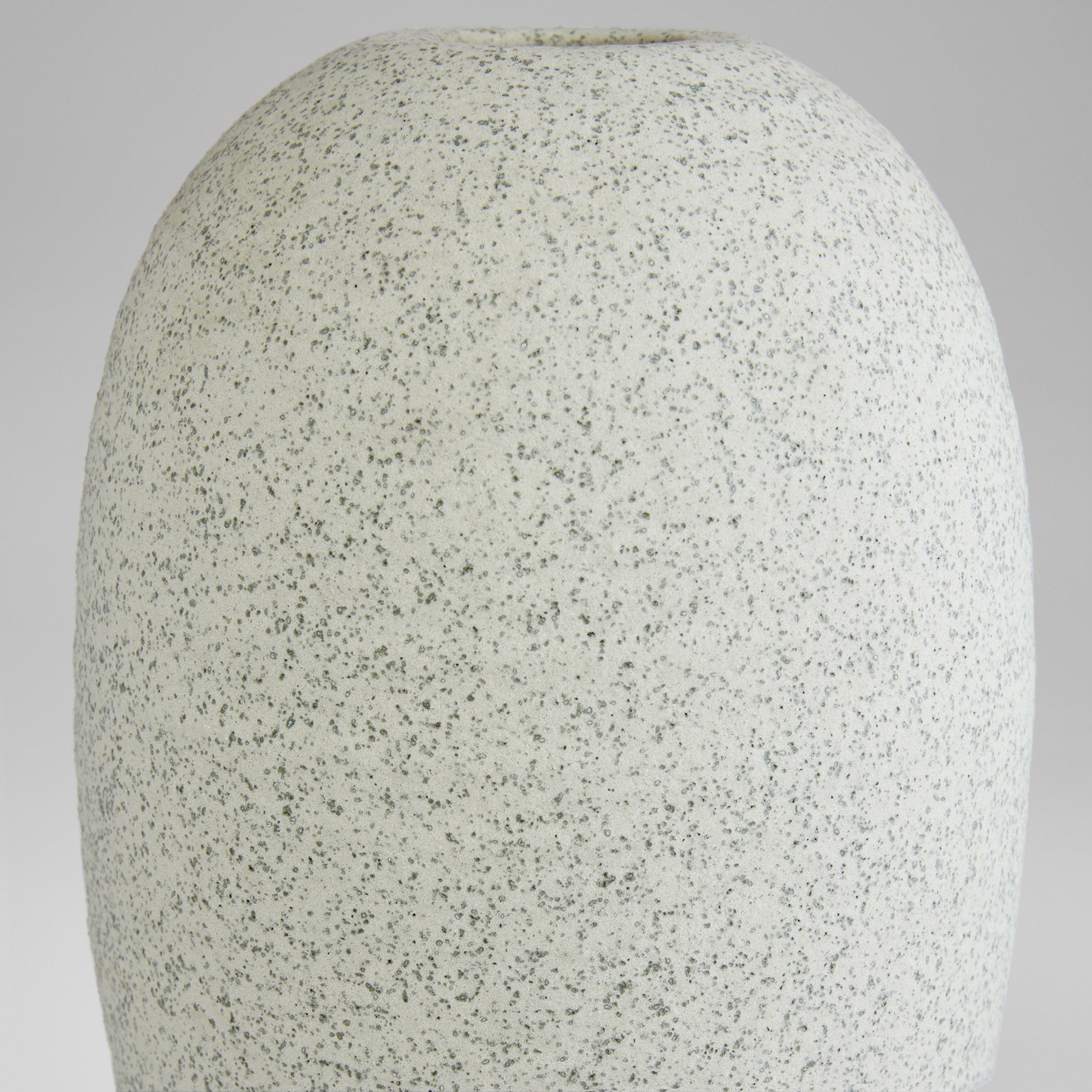 Cyan Design 12129 Vase, Perennial, Celadon, Sage Green