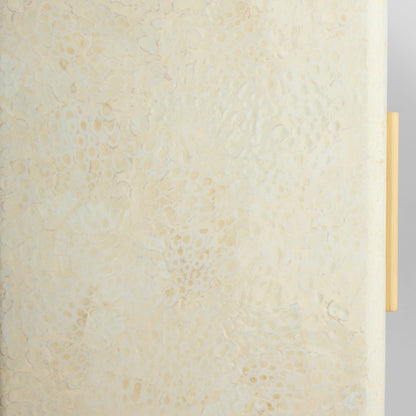 Cyan Design 12240 Box, Celestial, Jewelry Storage, Eggshell Lacquer | Brass