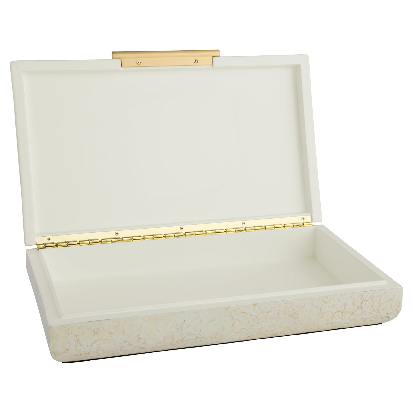 Cyan Design 12241 Box, Celestial, Jewelry Holder, Eggshell Lacquer | Brass