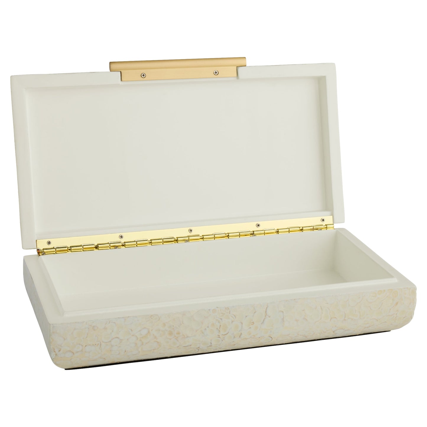 Cyan Design 12242 Box, Contemporary, Eggshell Lacquer | Brass