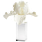 Cyan Design 10559 Iris Orchid Sculpture - White