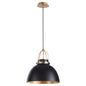 Quorum 823-5980 Pendant - Matte Black W/ Aged Brass