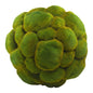 Cyan Design 01768 Moss Sphere - Moss Green - Medium