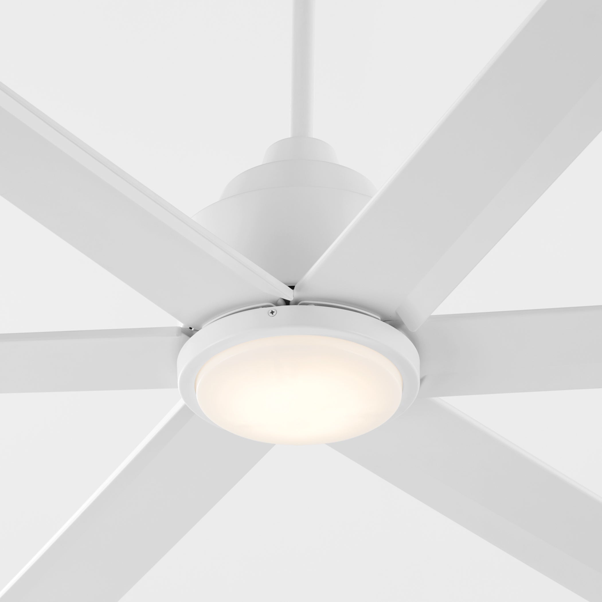Quorum Titus 20656-8 Ceiling Fan 65 Inch 6 Blades, Damp Listed - Studio White
