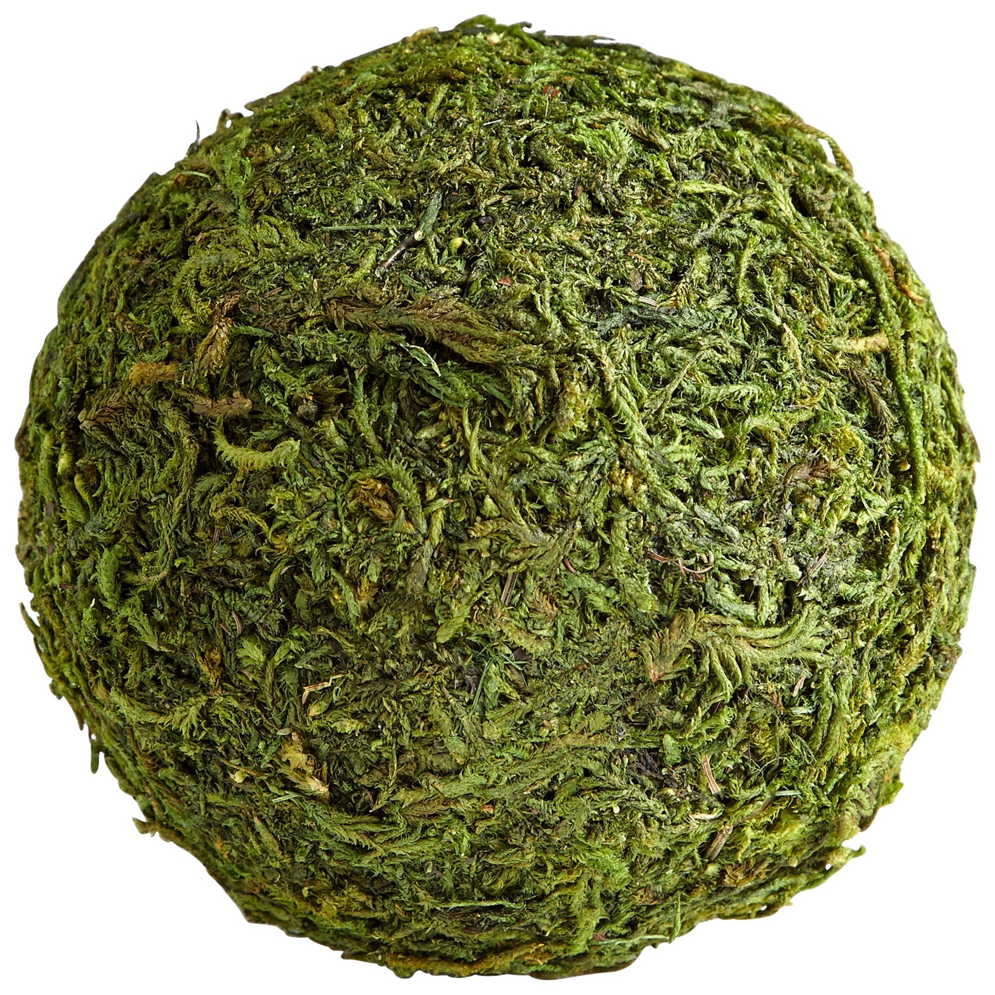Cyan Design 07298 Bermuda Filler - Green Moss - Small