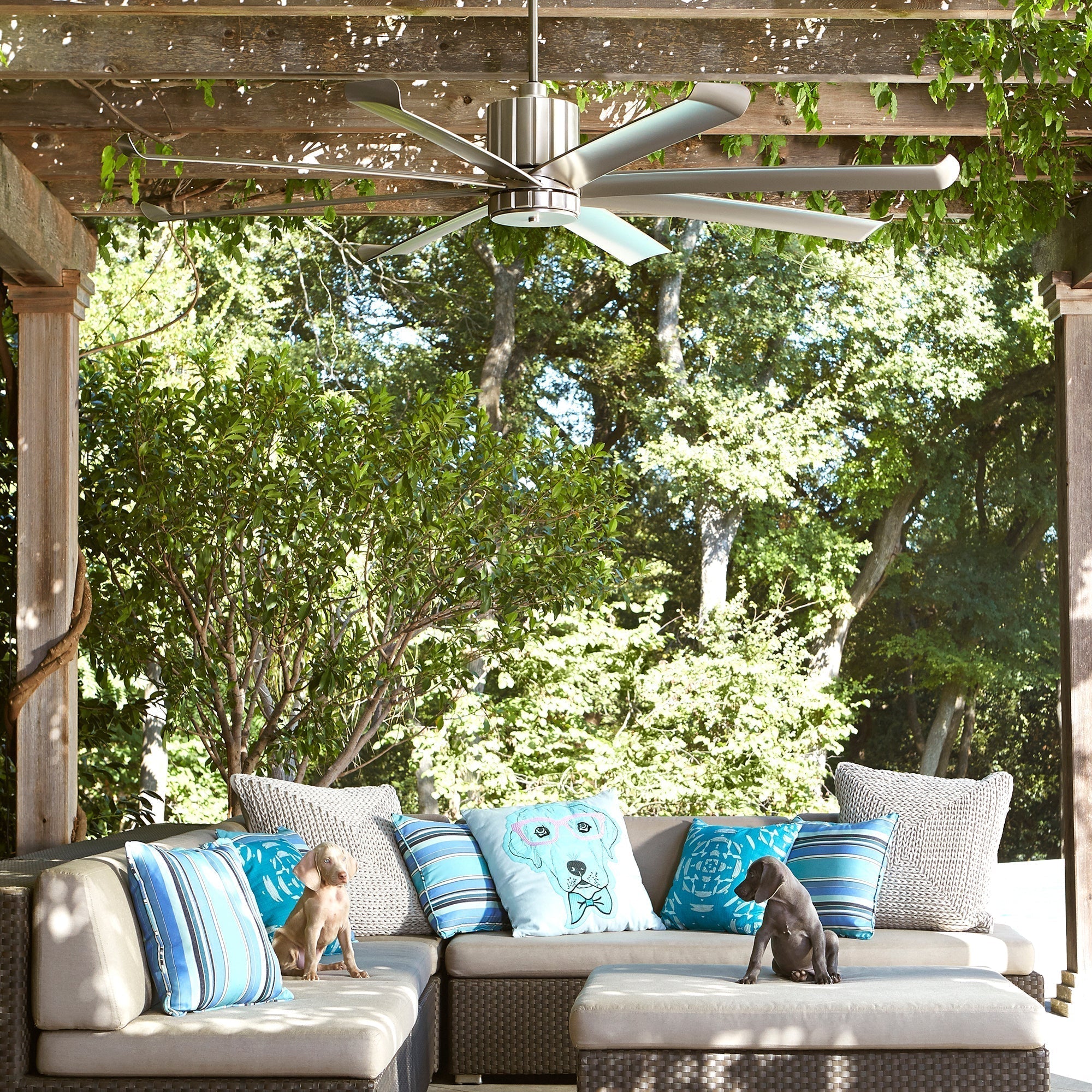 Quorum Proxima Patio 196608-65 Patio Fan - Satin Nickel