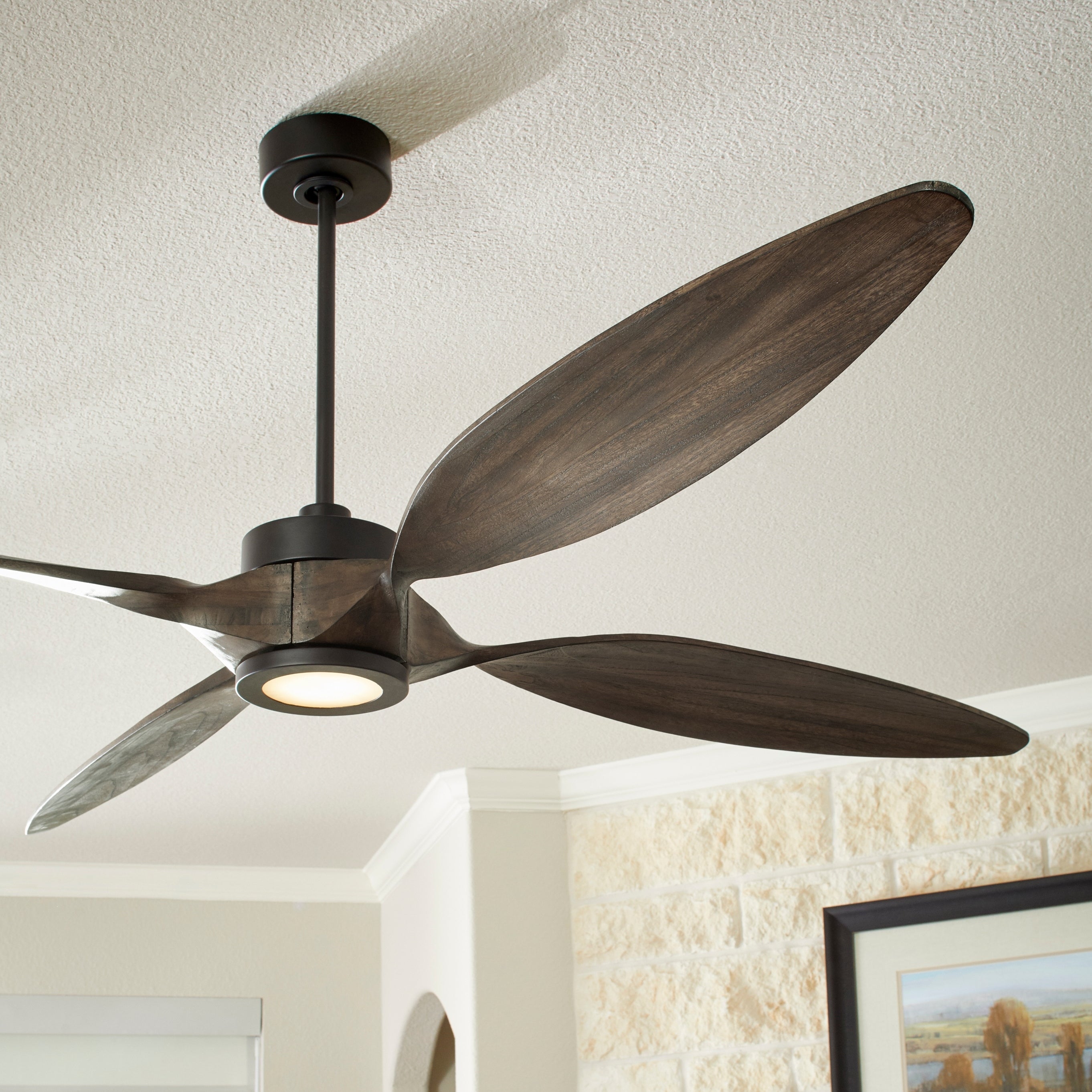 Quorum Papillon 28664-59 Ceiling Fan - Matte Black