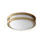 Oxygen Lighting 3-618-40 Ceiling Mount Light Fixture, UL Damp Rated, Aged Brass - Matte White Acrylic Diffuser
