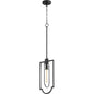 Quorum 3102-69 Pendant - Textured Black