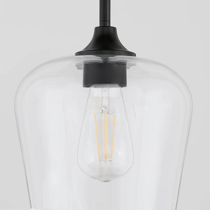 Quorum International RAYMOND 3313-59 Pendant 1 Light with Clear Glass Shade Transitional - Matte Black