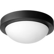 Quorum 3505-11-69 Ceiling Mount - Textured Black