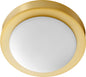 Quorum 3505-9-80 Ceiling Mount - Aged Brass