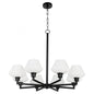 Quorum International CASSINI 6221-8-59 Chandelier Contemporary - Matte Black