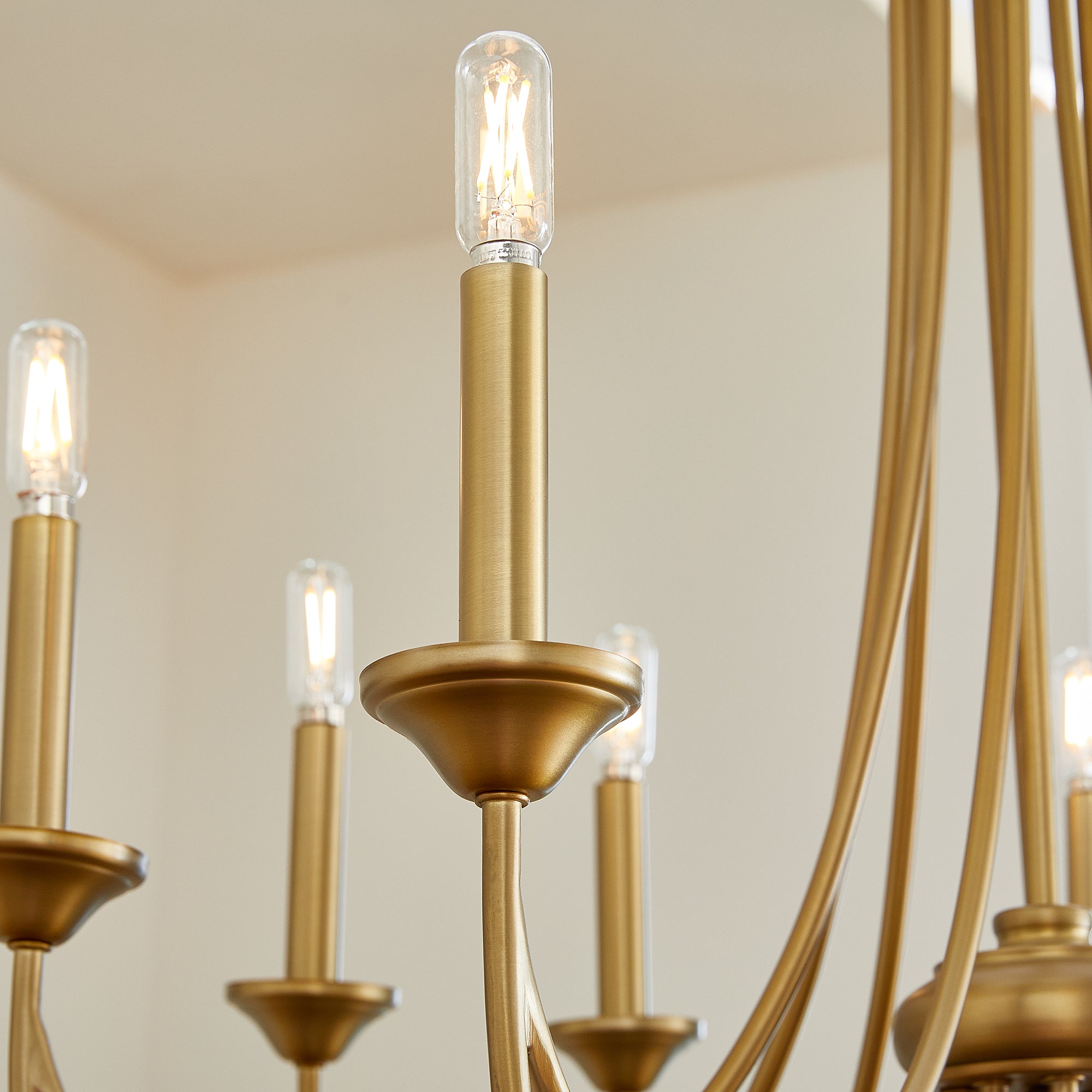 Quorum Brooks 6250-8-80 Chandelier - Aged Brass