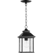 Quorum Pearson 7941-7-69 Pendant - Textured Black