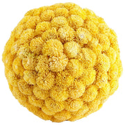 Cyan Design 07576 Sia Filler - Yellow - Small