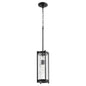 Quorum 809-69 Pendant - Textured Black W/ Clear Chisseled Glass