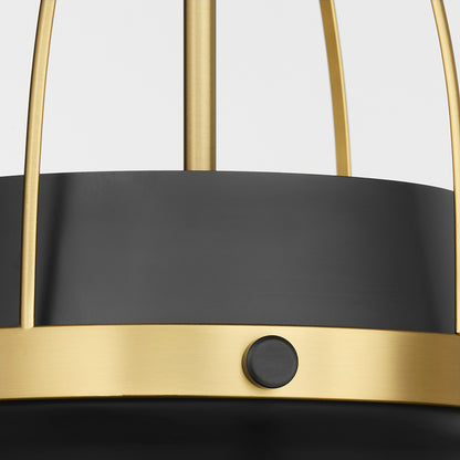 Quorum Pruitt 823-3-5980 Pendant, UL Damp Rated, Matte Black|Aged Brass