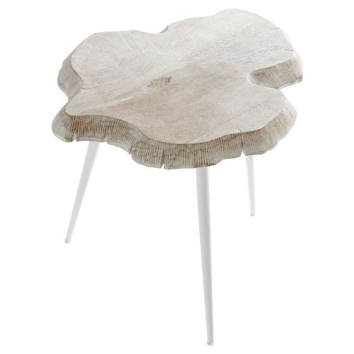 Cyan Design 11341 Palmer Side Table - Whitewash